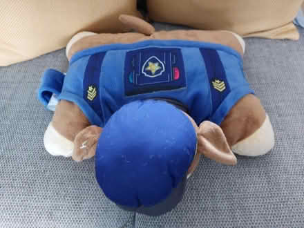 Photo of free Paw Patrol Pillow Pets (Kempshott, Basingstoke) #2
