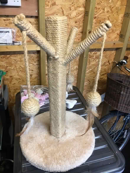 Photo of free Cat scratch post (Calcot) #1