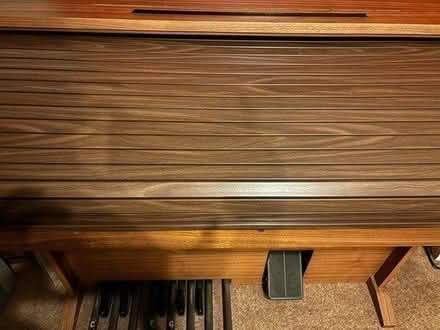 Photo of free Electronic Organ (RG1 Palmer Park) #4