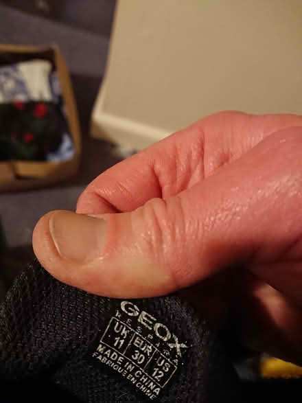 Photo of free Geox Trainers, children's size 11 (West Chesterton, CB4) #1