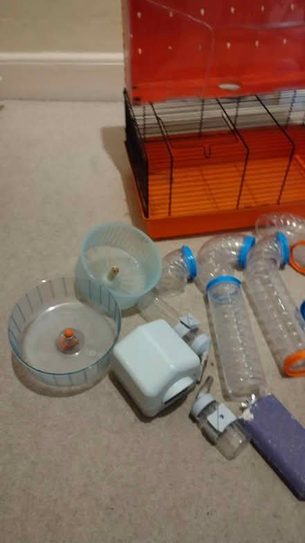 Photo of free Hamster cages and accessories (Timperley WA15) #1
