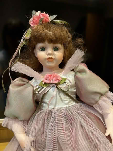 Photo of free Doll (Winkfield Row SL5) #1