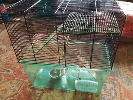 Photo of free Hamster gerbil cage (Westmeads, Bognor Regis) #1
