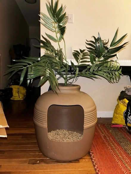 Photo of free Litter box fake planter (Crown heights) #1