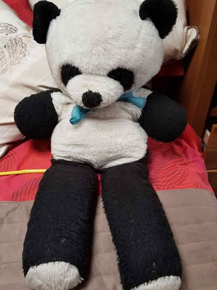Photo of free Large panda (Westmeads, Bognor Regis) #1