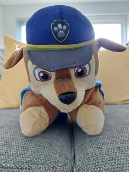 Photo of free Paw Patrol Pillow Pets (Kempshott, Basingstoke) #1