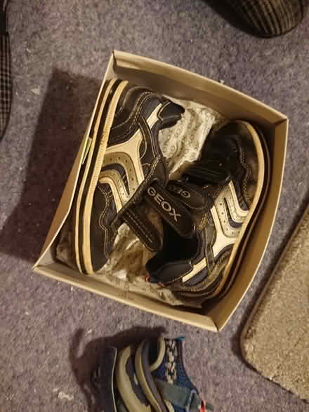 Photo of free Geox Trainers, children's size 11 (West Chesterton, CB4) #2