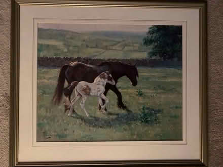 Photo of free Framed Horse/Foal Print (TW16) #1
