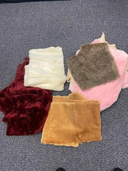 Photo of free Teddy Bear Fur (Islington and 401) #1