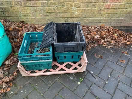 Photo of free Plastic crates (Norton S8) #1