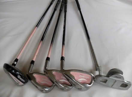 Photo of ladies golf clubs (Woosehill RG41) #1