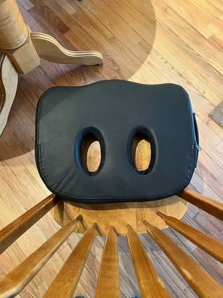 Photo of free Seat cushion (North Frederick) #2
