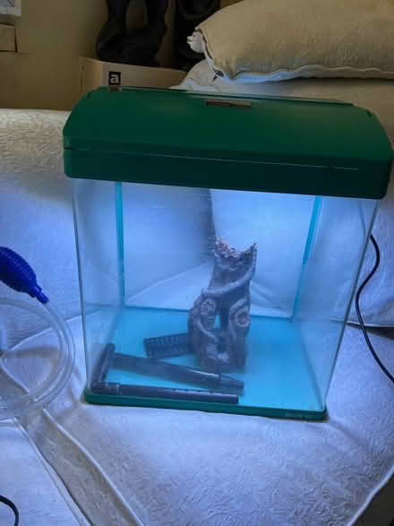 Photo of free Small Fish Tank with accessories (Chiswick) #1