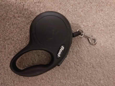 Photo of free Cat harness and extendable lead (Stirling FK9) #2