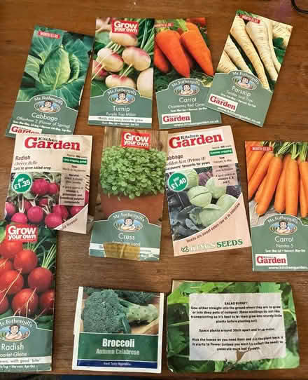 Photo of free Vegetable seeds (Treeton S60) #3