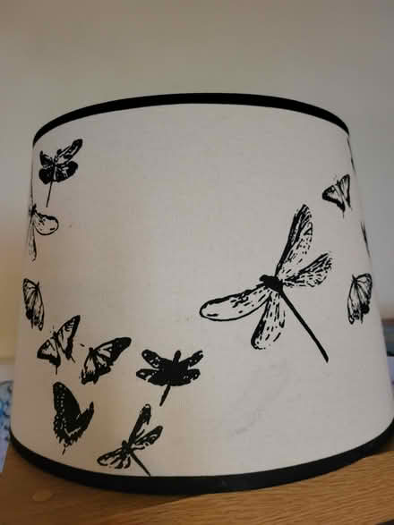 Photo of free Large butterfly lampshade (Wellington) #2