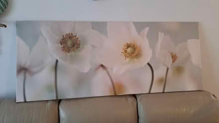Photo of free Canvas picture (Woodley RG6) #2