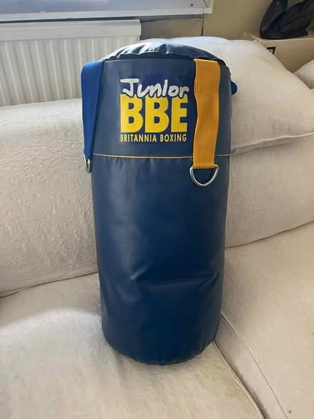 Photo of free Junior punching bag (Chiswick) #2