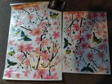 Photo of free Blossom and birds wall stickers (Higher Brixham TQ5) #1