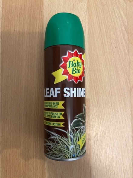 Photo of free Houseplant leaf shine spray (M21) #1