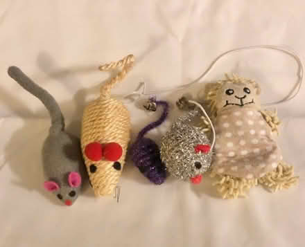 Photo of free Cat toys / crinkly bag (Tunbridge Wells N. TN1) #2