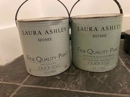 Photo of free Duck egg emulsion (OX4, church cowley) #3