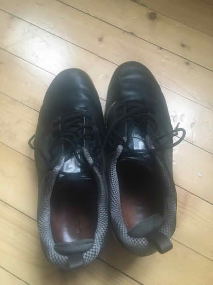 Photo of free Mens golf shoes (Trinity, North Edinburgh EH5) #1