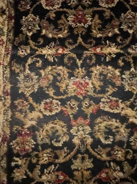 Photo of free Stair runner (20882, Laytonsville) #1