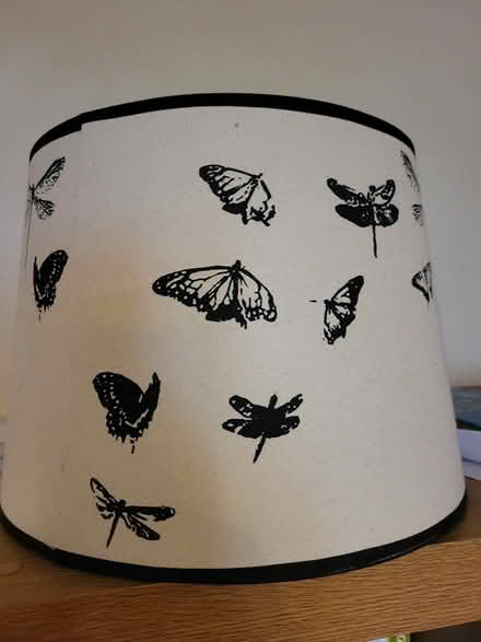 Photo of free Large butterfly lampshade (Wellington) #1