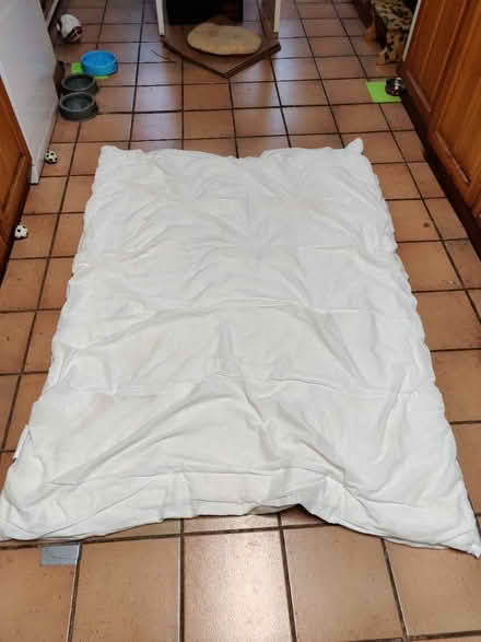 Photo of free Single duvet (HA6 Northwood) #1