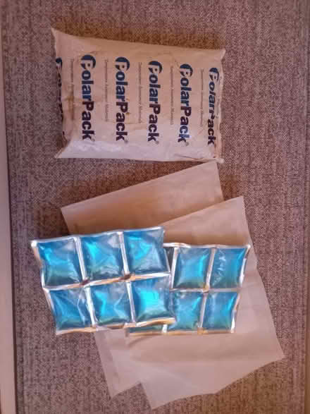 Photo of free Ice packs (Hopwood B48) #1