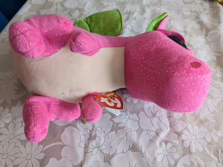 Photo of free DARLA TY teddy (Droitwich) #3