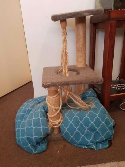 Photo of free Cat Tree + Pet Bed (Essendon) #1
