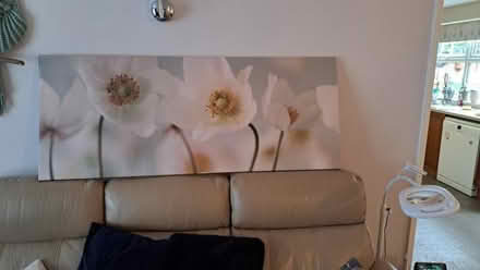 Photo of free Canvas picture (Woodley RG6) #1