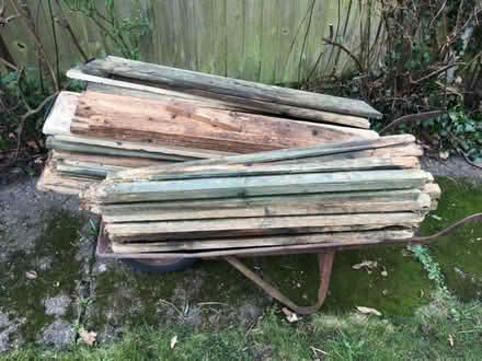 Photo of free Project wood (Hampton Hill TW12) #1