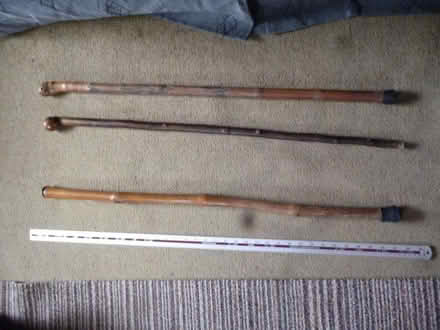 Photo of free walking sticks (Starbeck HG2) #1