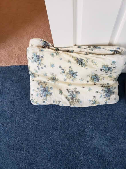 Photo of free Couple old pillows (Davidsonville) #1