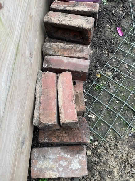 Photo of free Bricks (ashford) #1