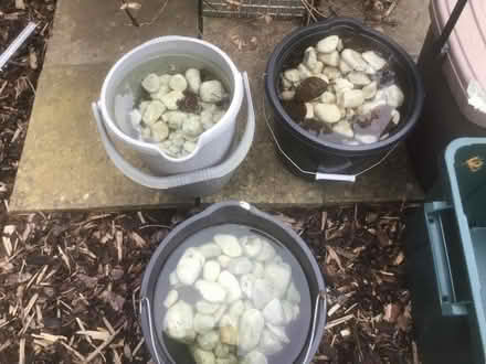 Photo of free White stones (Morden SM4) #1