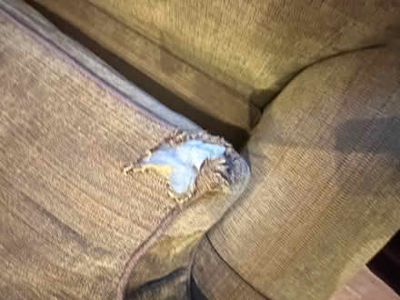 Photo of free Ethan Allen Sofas (Aberdeen) #3