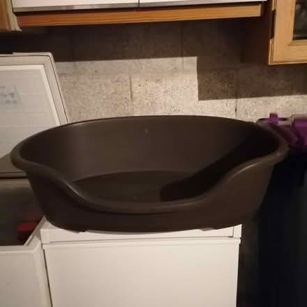 Photo of free Plastic dog basket (Hollybush NP44) #1