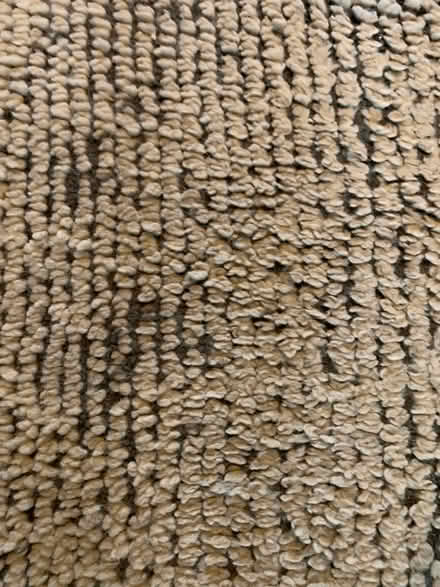 Photo of free Floor rug - wool (Acton W3) #3