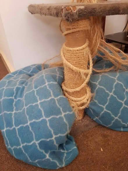 Photo of free Cat Tree + Pet Bed (Essendon) #2