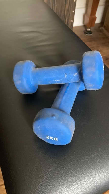 Photo of free blue 2kg dumbbells (Rusthall TN4) #1