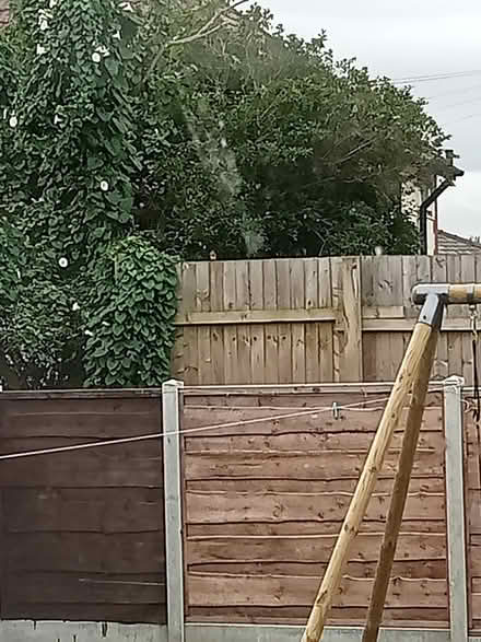 Photo of Garden furniture (Dukinfield) #1