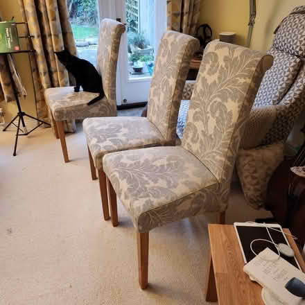 Photo of free 3 dining chairs (Emsworth) #1