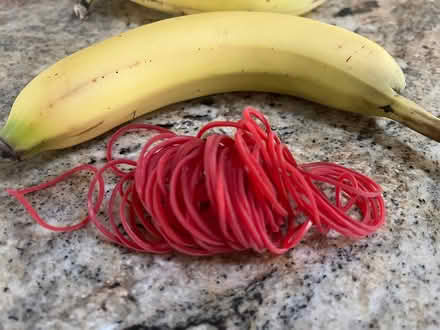 Photo of free Rubber bands (Severna Park) #1