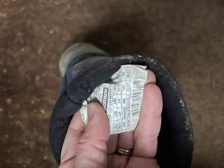 Photo of free Welly boots size 3 / 4, 36/37 (Broomhill S10) #1