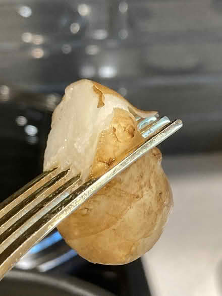 Photo of free Jerusalem artichokes (Arcadia nr Baldwin-Stocker Sch) #3