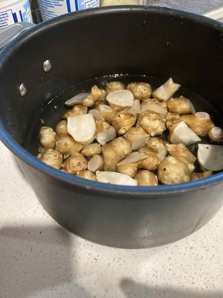 Photo of free Jerusalem artichokes (Arcadia nr Baldwin-Stocker Sch) #2